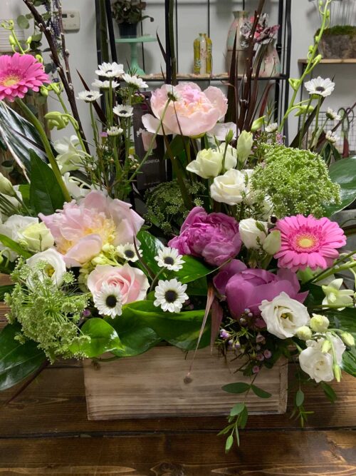 Dancing with the Stars Flowers