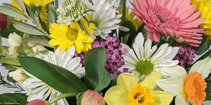 Garden House Gift Card
