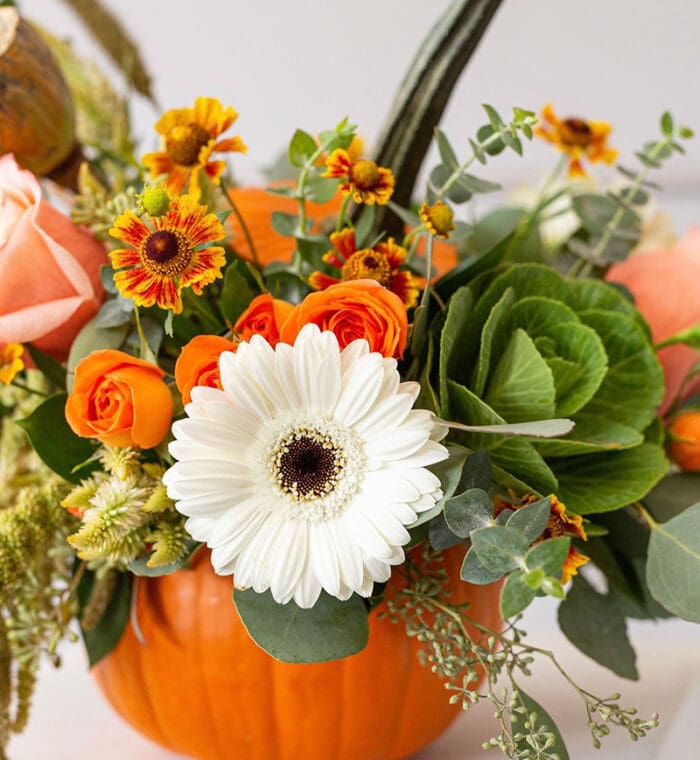 Petals in a Pumpkin Floral Centerpiece | Garden House Floral October Special