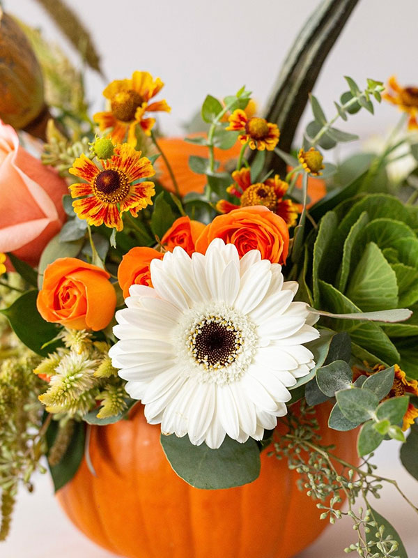 Pumpkin Floral Arrangement - Grand Haven