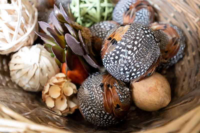 Botanical-art-in-basket Botanical art in basket, in West Michigan