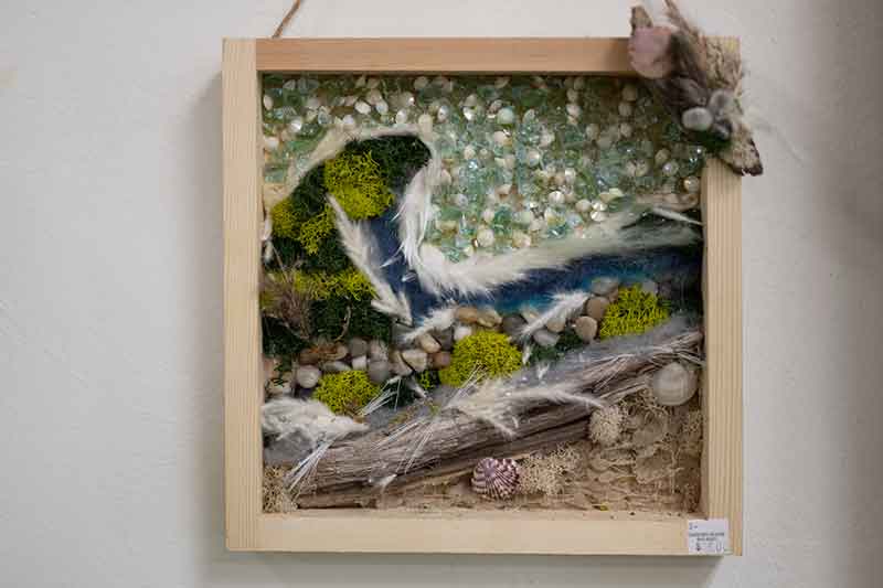 Framed-botanical-art Botanical art in frame in Grand Haven, Michigan